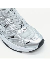 A.S.H. Ginnica Argento