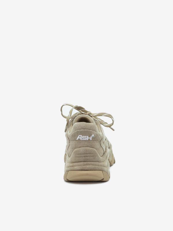 A.S.H. Sneaker addict camoscio Cuoio